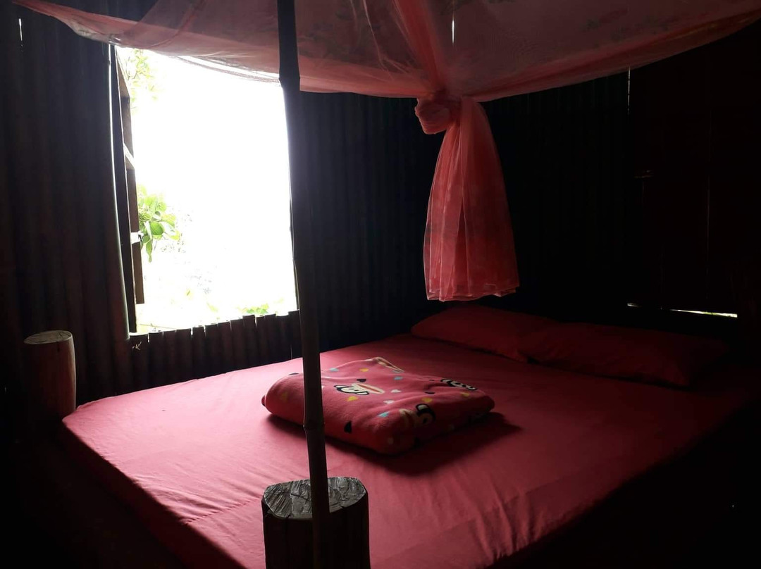 Tree Lodge Banlung主图