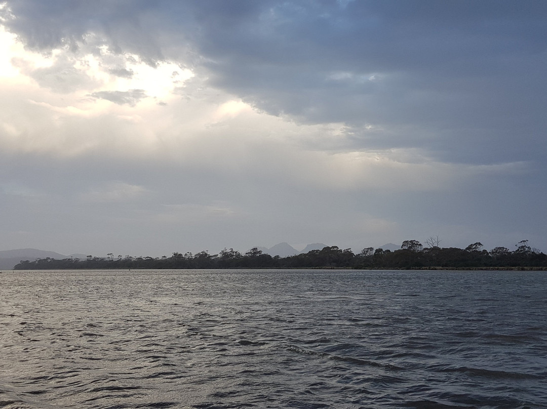 Moulting Lagoon Eco Tours景点图片