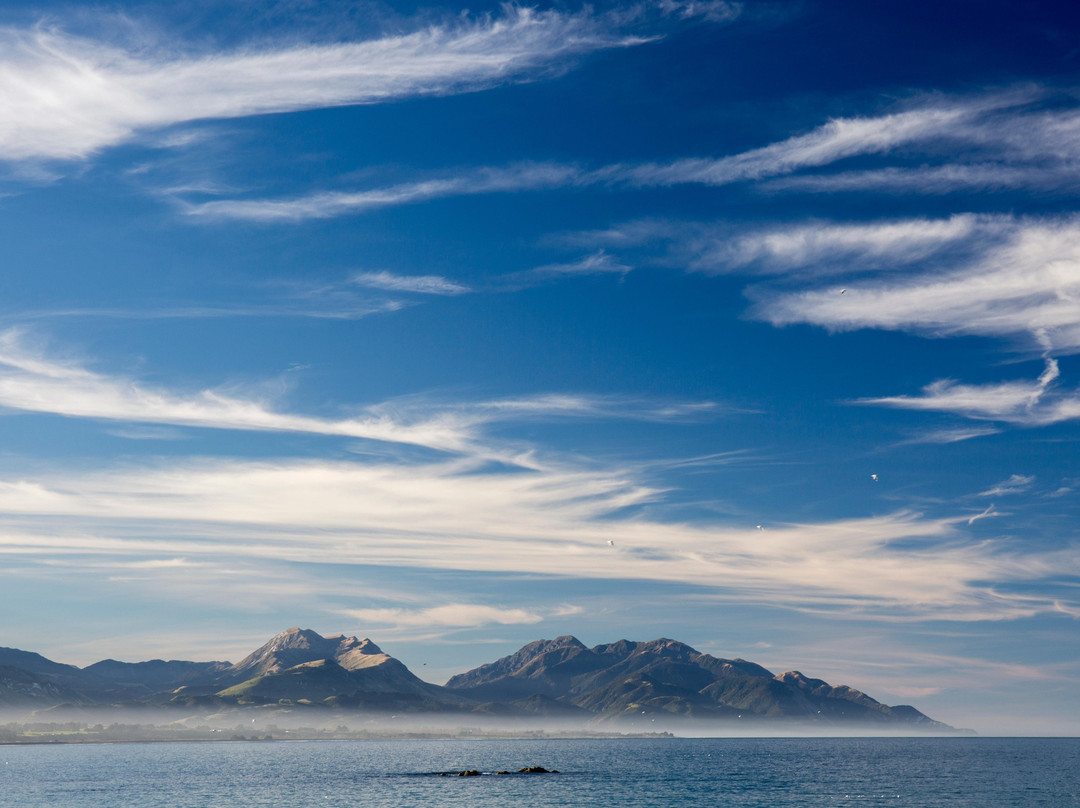 NZ Photo Safari景点图片