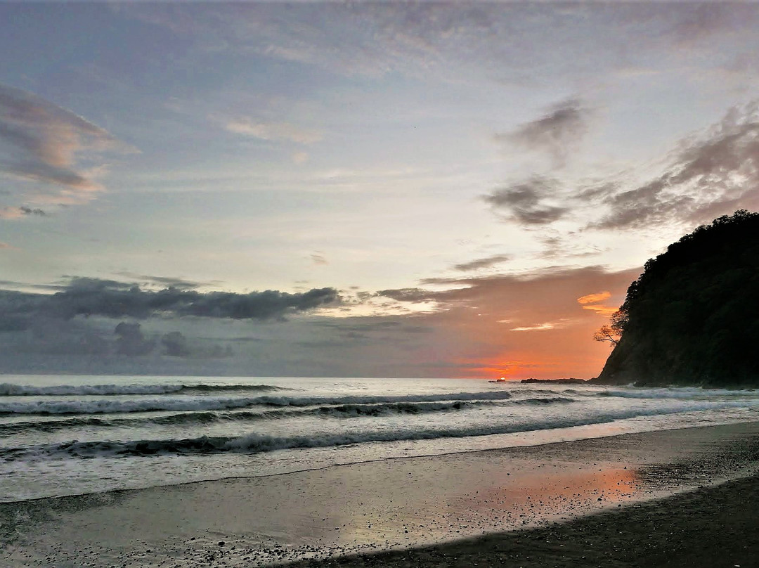 Hotel Palma De Oro主图