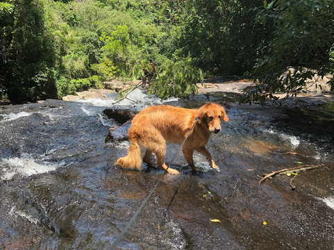Fazenda Guaxinduva-Cabreuva必去景点