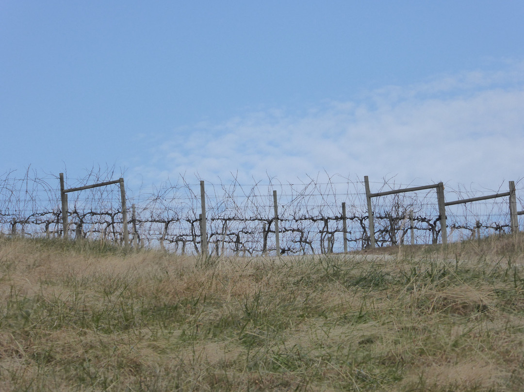 Lovingston Winery-Lovingston必去景点