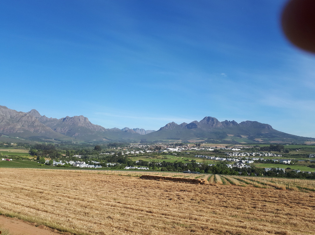 斯泰伦博斯普罗蒂亚酒店主图