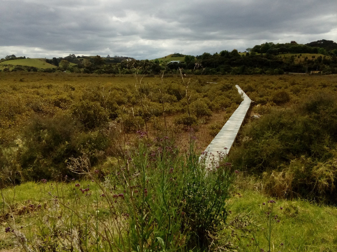 Bay of Islands Coastal Walkway - Okiato to Russell景点图片