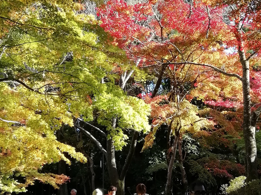 Saimyo-ji Temple Omotesando-甲良町必去景点