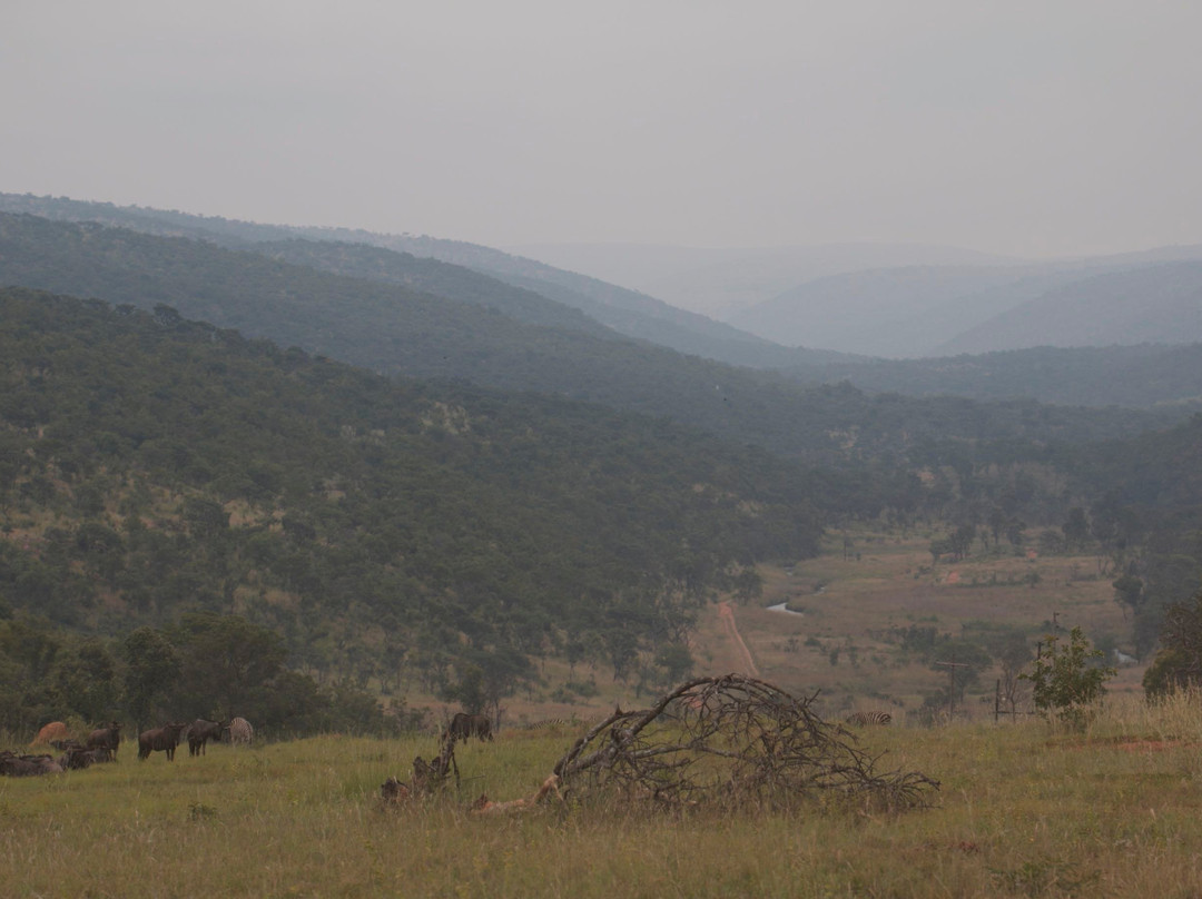 null-Welgevonden Game Reserve