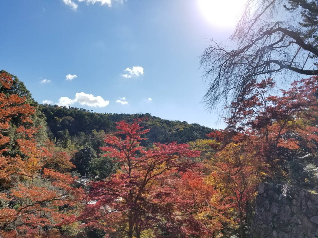 Shoryakuji Temple景点图片