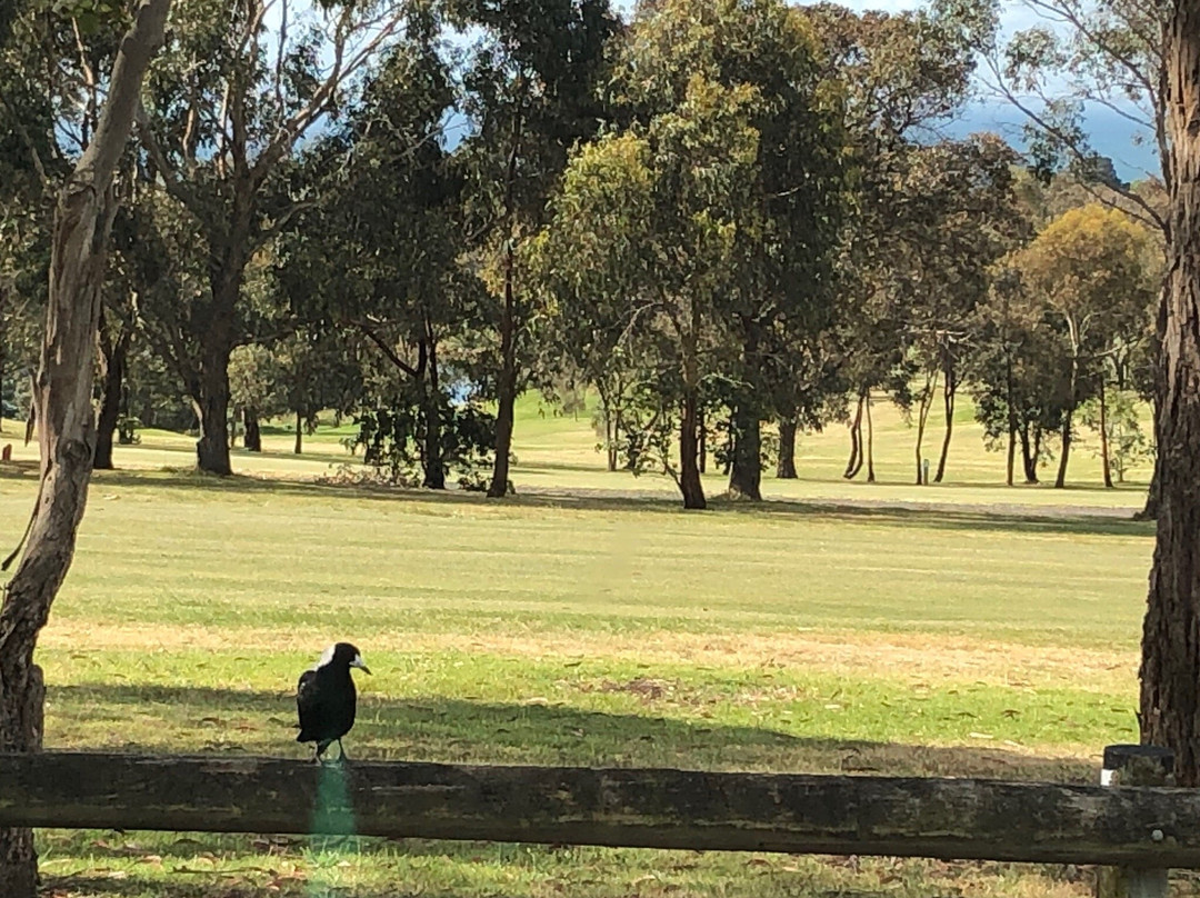 Mount Martha Public Golf Course景点图片