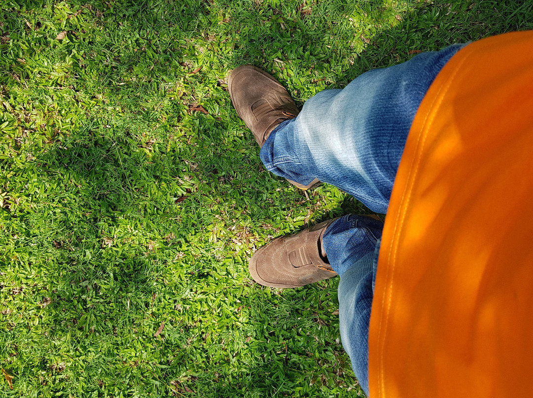 The Rock Hotel主图