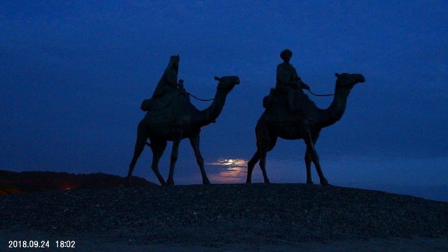 飞相扑旅馆主图