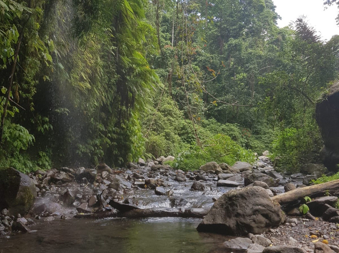 Sindang Gila Waterfall景点图片