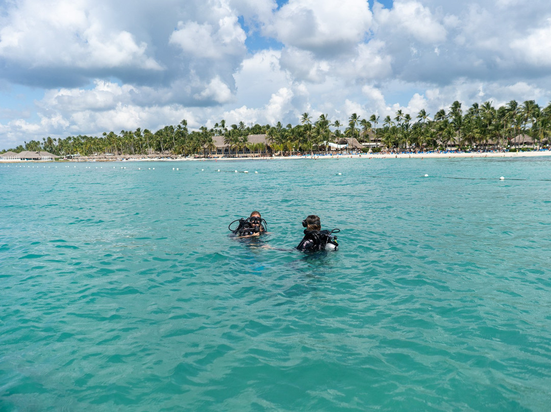 Diving Dominican Republic景点图片