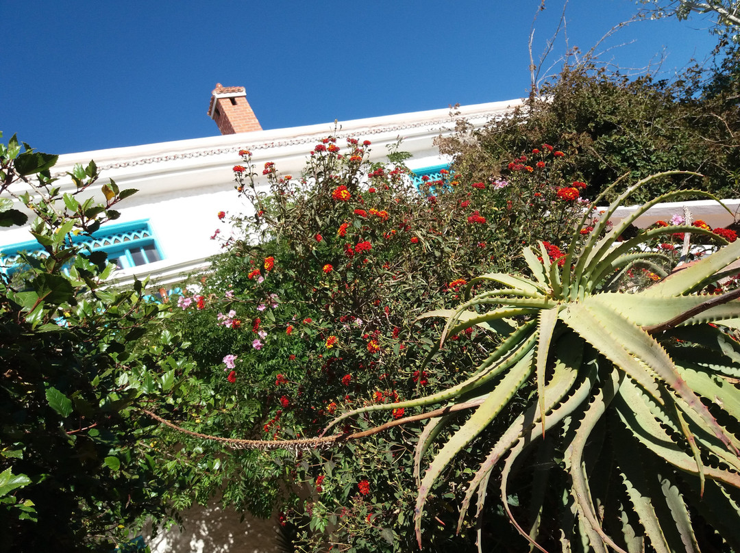 Riad Tamayourt Ocean View主图