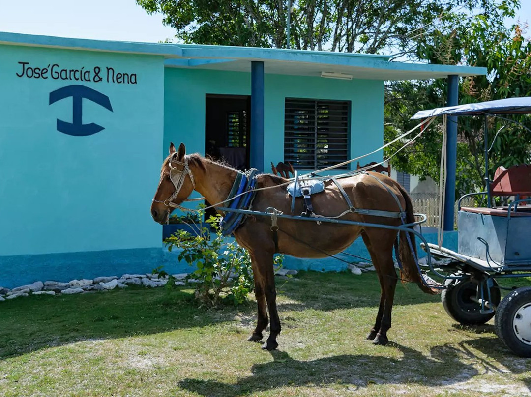 Hostal Jose Garcia & Nena