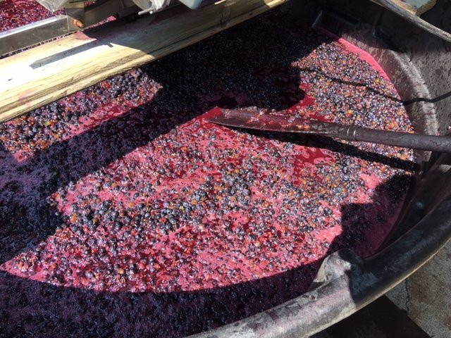 Valiant Vineyards Winery and B&B主图