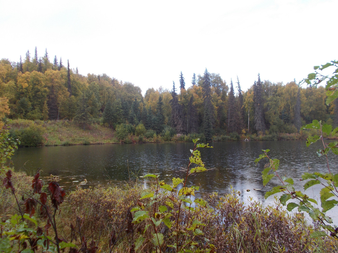 Nancy Lakes Recreation Area景点图片