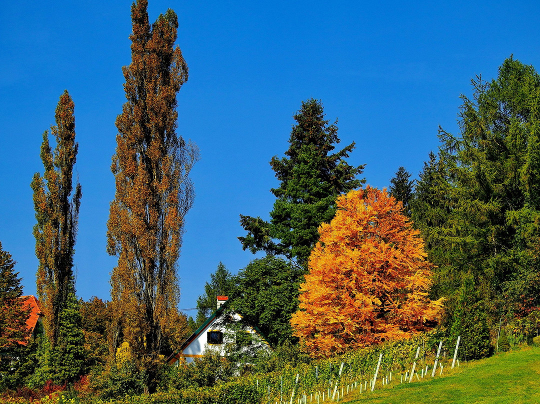 Glanzer Hoftour-Glanz an der Weinstrasse必去景点