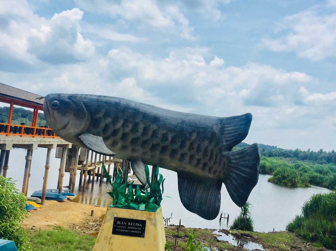 Tasek Bera-而连突必去景点