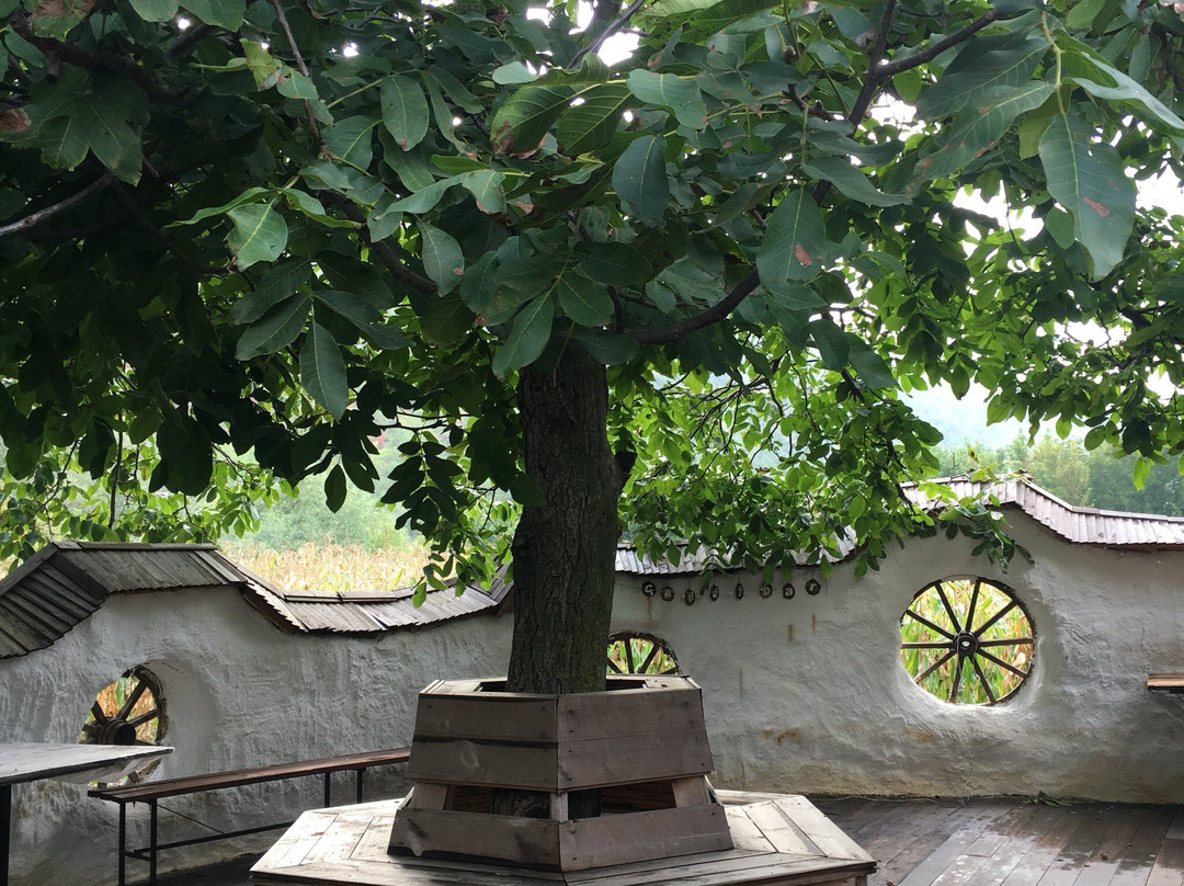 Casa Din Lunca主图