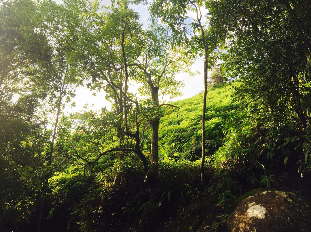 Lankagama Duwili Ella Falls-加勒必去景点