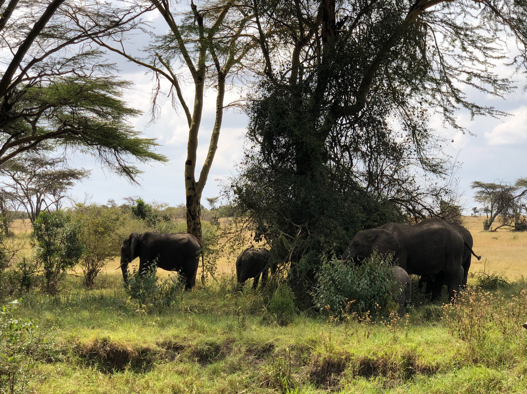 博里尼马拉营地旅馆主图