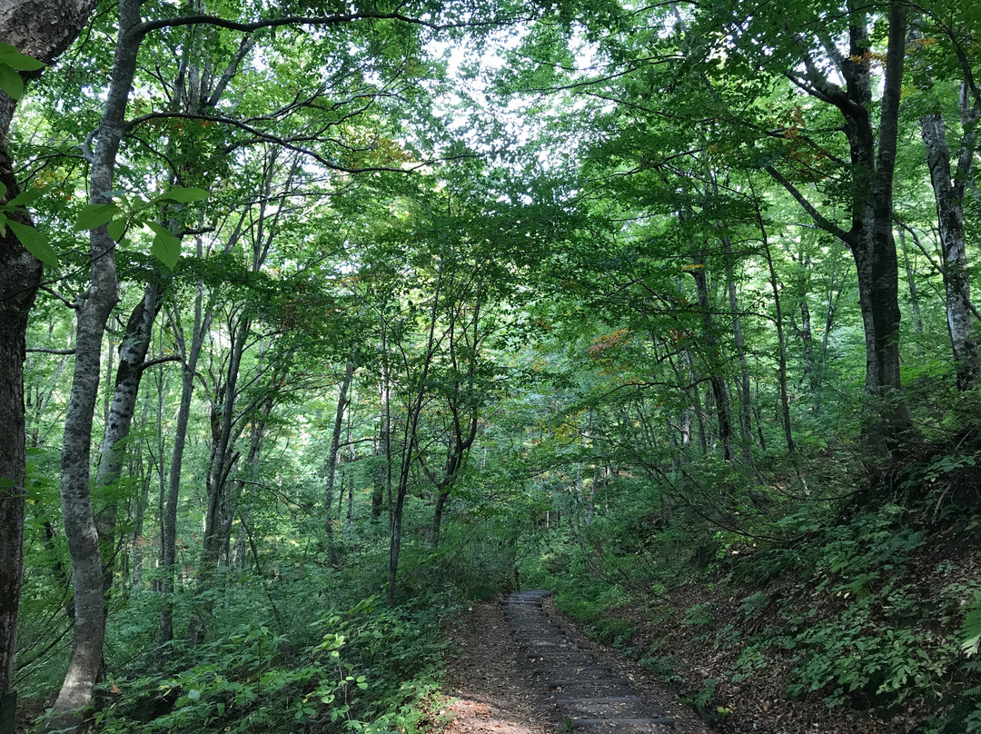 白神山地-东北部必去景点