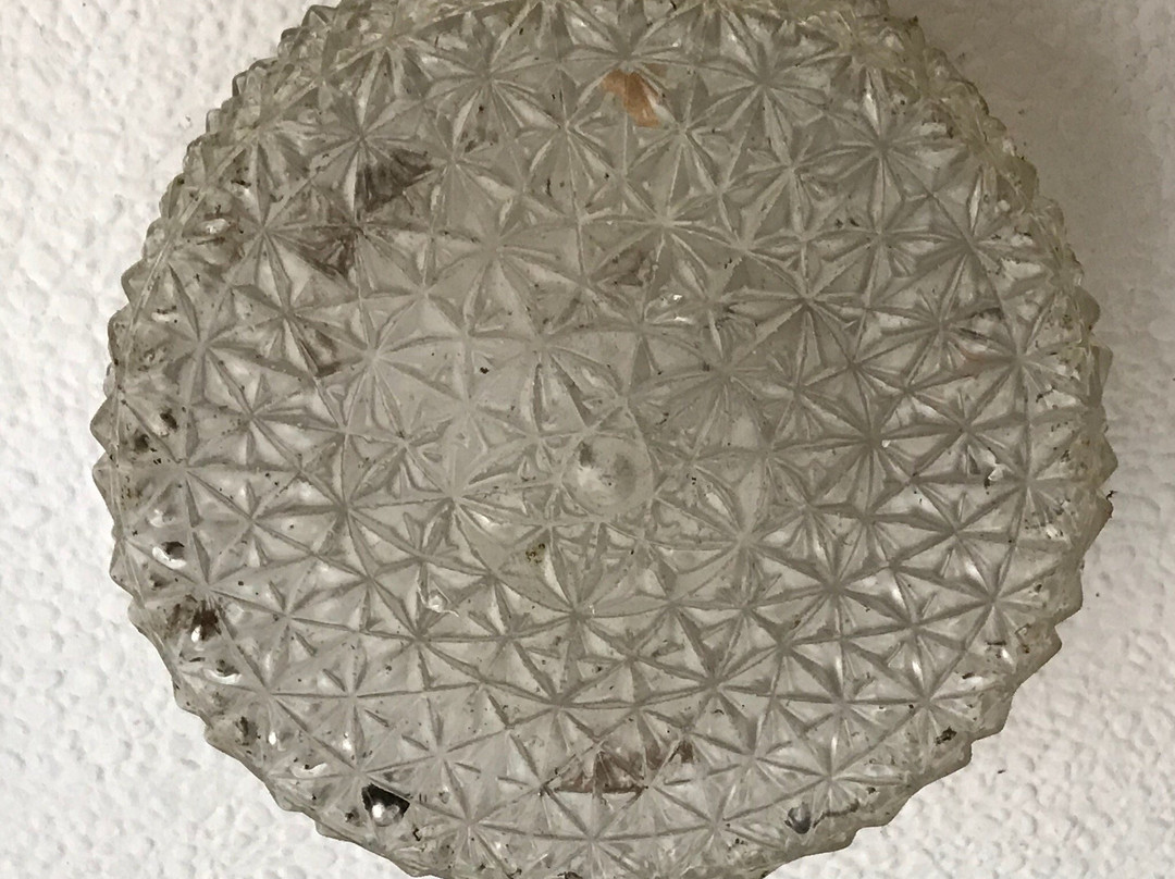 Carronbridge Guest House主图
