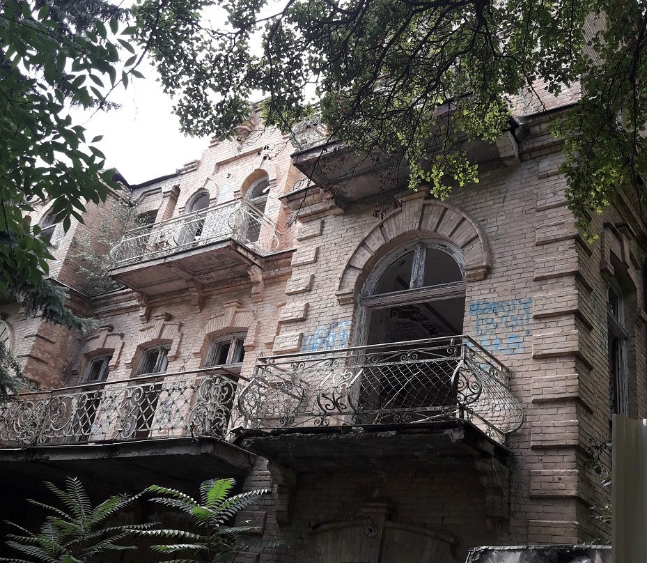 Elsa's House景点图片
