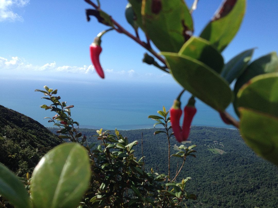 Mount Sorrow Ridge Trail景点图片