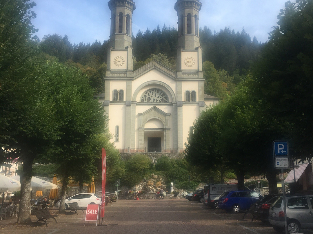 Camping Schonenbuchen