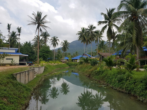 Wonderland Healing Center-帕岸岛必去景点