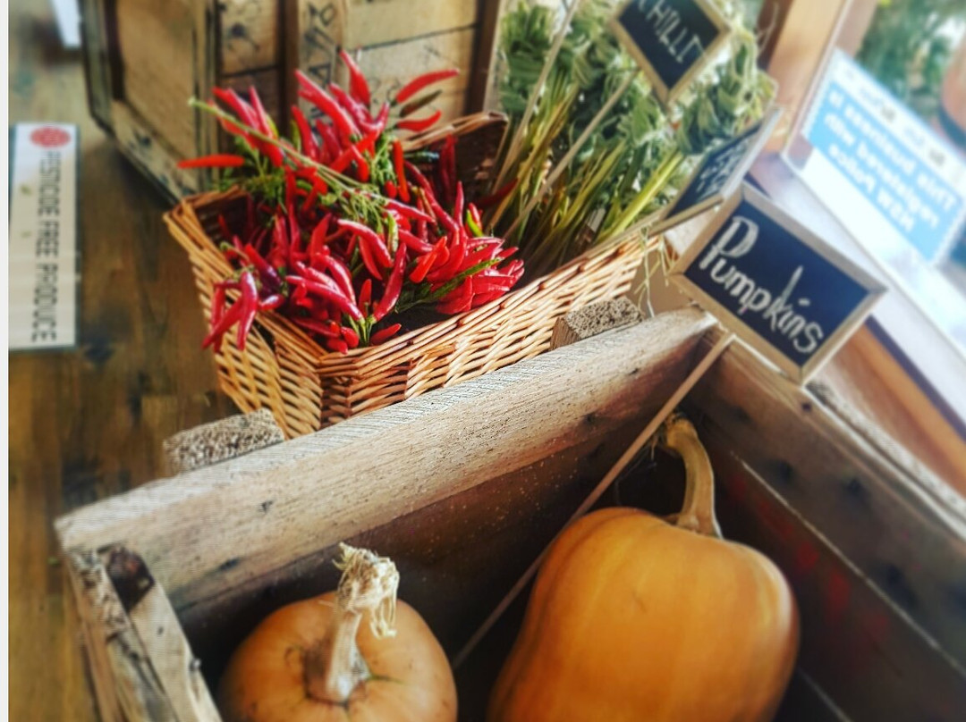 Gooree Park Mudgee-马奇必去景点