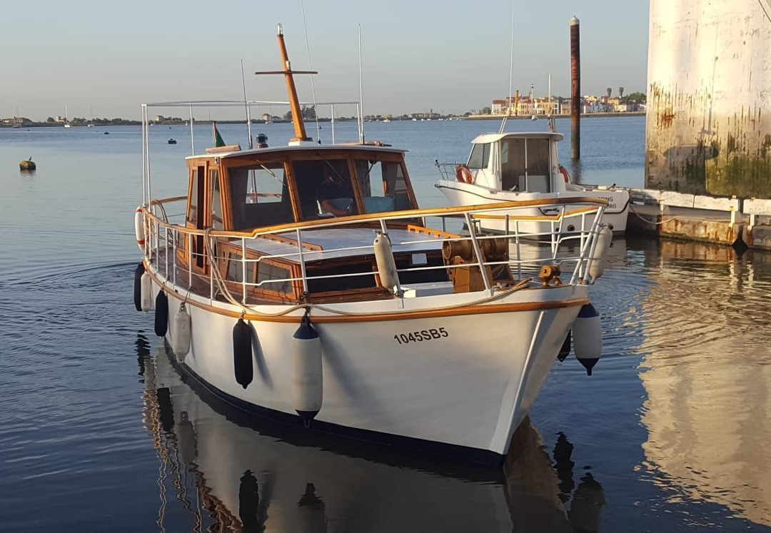 Lusitano Boat Tours景点图片