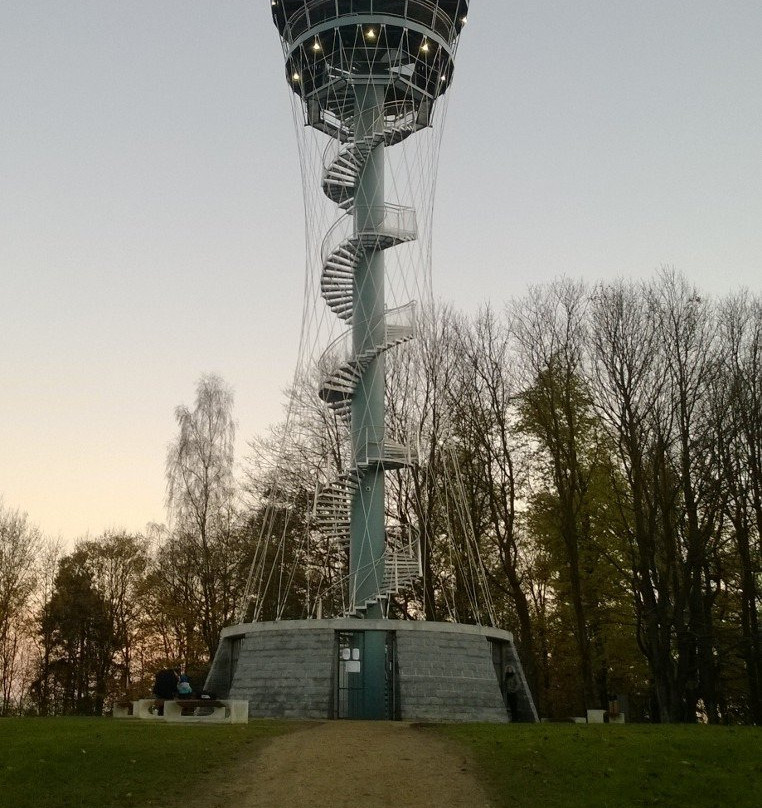 Tachov lookout tower - Vysoká景点图片