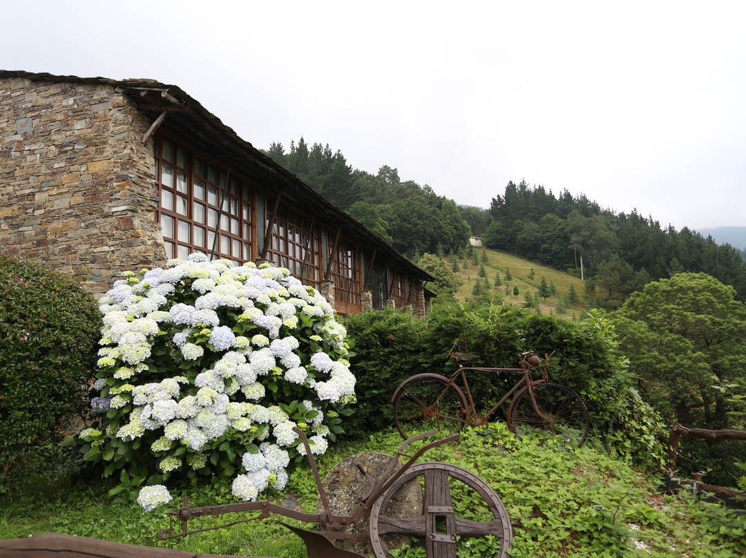 Hotel La Rectoral de Taramundi主图