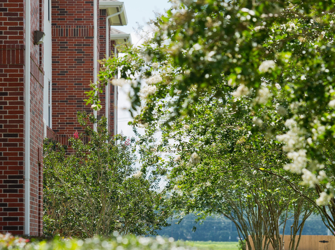 Nicholls State University景点图片