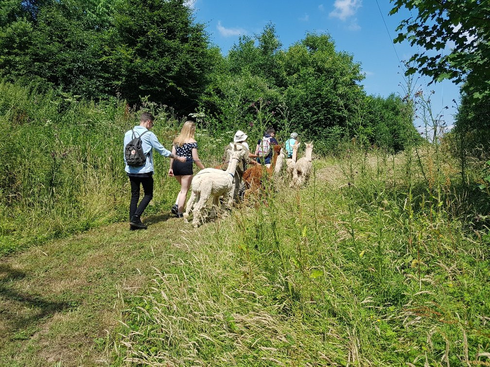 Popham Farm Alpaca Trekking-索尔塔什必去景点
