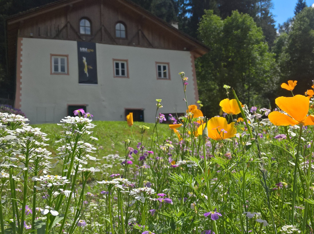 MMape • Mulino Museo dell'ape-Croviana必去景点