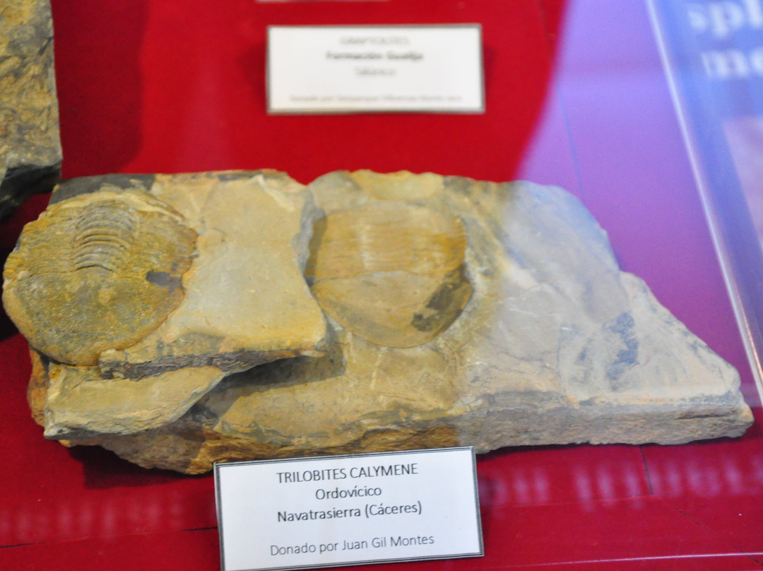 Mina Costanaza-Logrosan必去景点