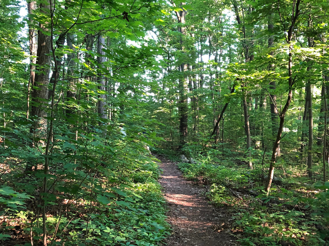 Guiffrida Park-梅里登必去景点