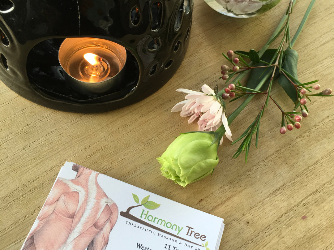 Harmony Tree Therapeutic Massage & Day Spa景点图片
