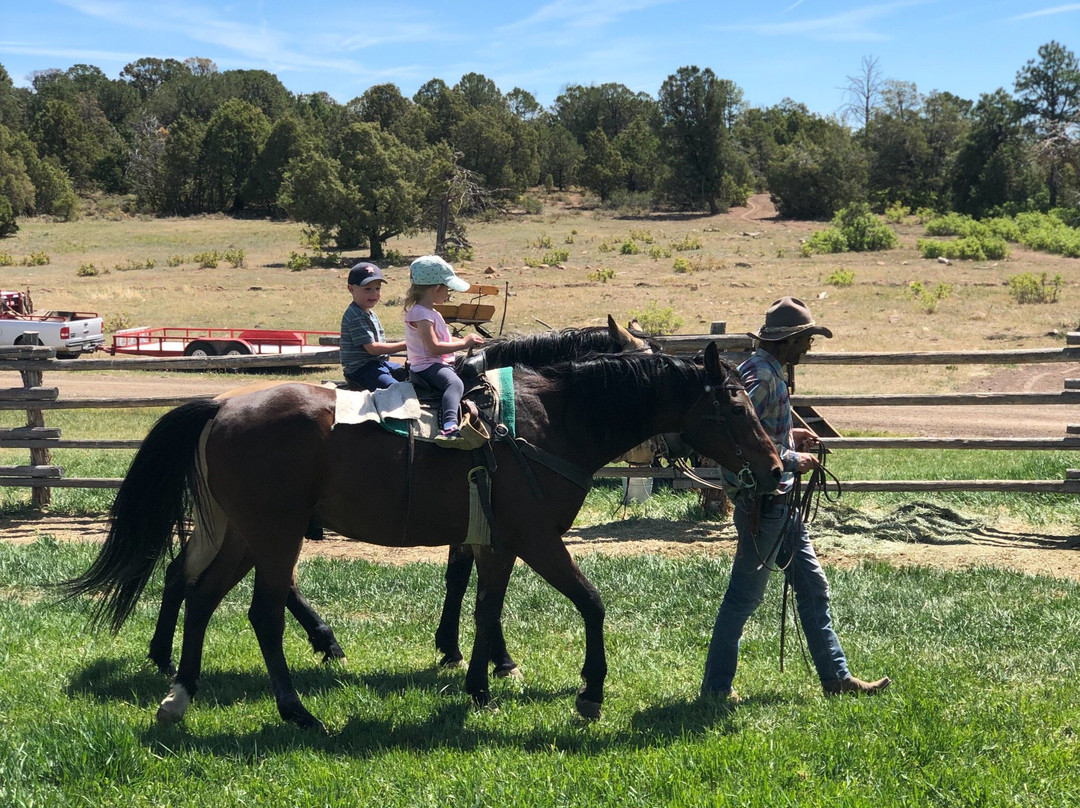 Telluride Horseback Adventures - Ride with Roudy-特柳赖德必去景点