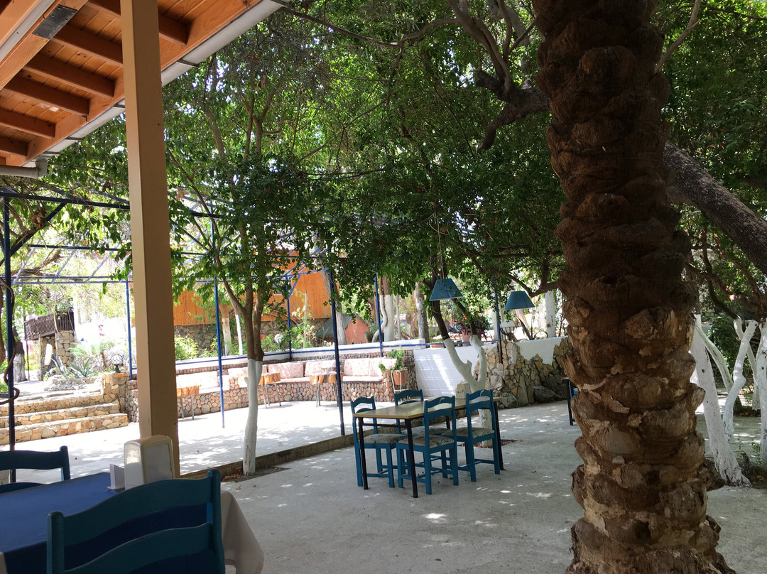 Hotel Dolphine主图