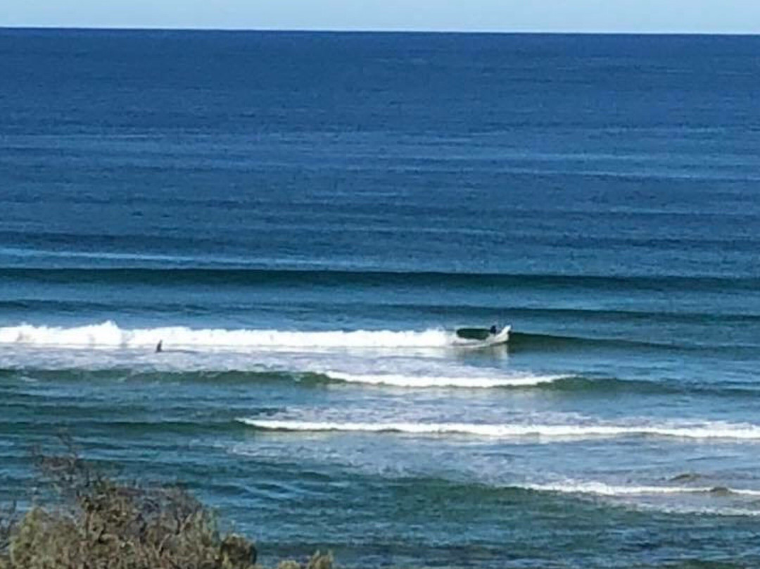 Marcoola旅游攻略图片