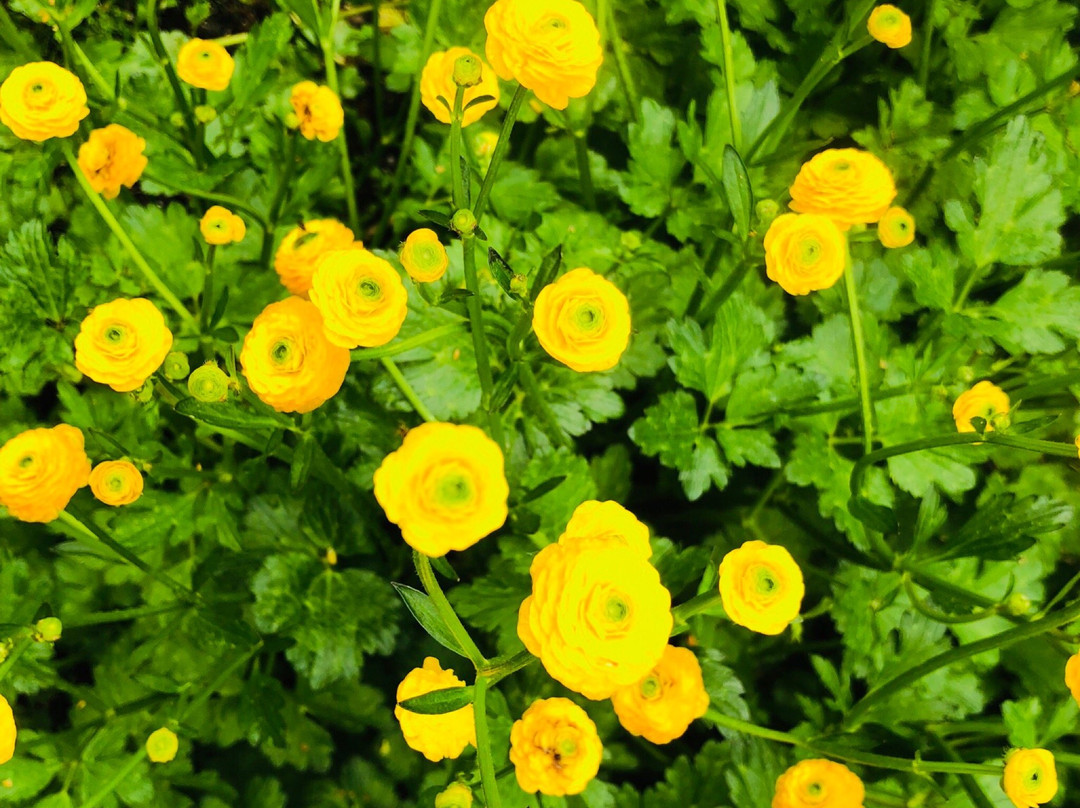 The Grateful Bed B'n'B主图