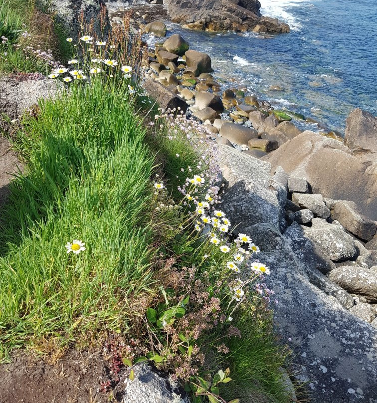 Cornwall Coast Path景点图片