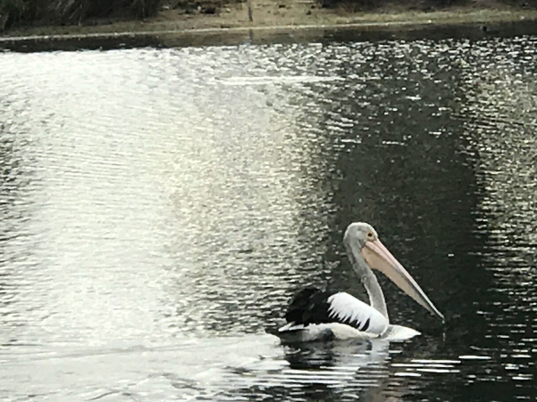 湖畔高尔夫俱乐部-冲浪者天堂必去景点