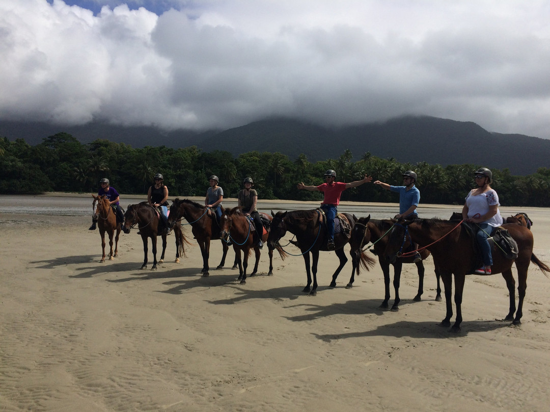 Cape Trib Horse Rides景点图片