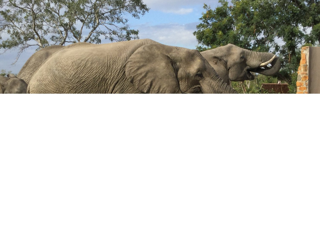 Leopard Hills Private Game Reserve Hotel主图