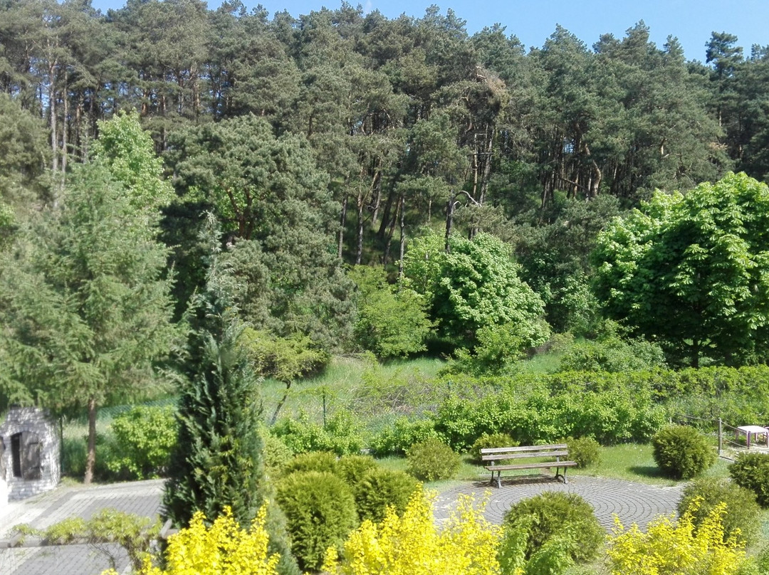 Dworek Bursztynowe Piaski主图